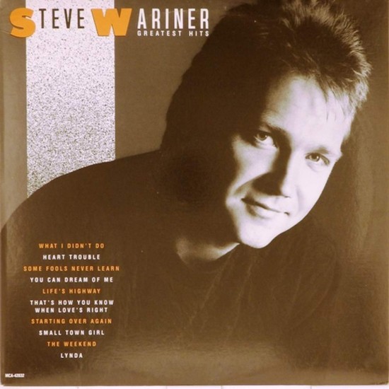 Пластинка Steve Wariner Greatest Hits